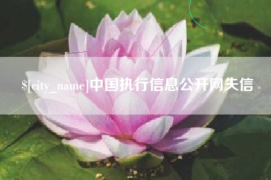 广西中国执行信息公开网失信