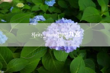 广西2022九宫