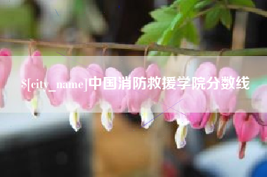 广西中国消防救援学院分数线