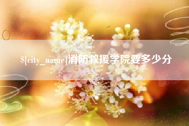 广西消防救援学院要多少分