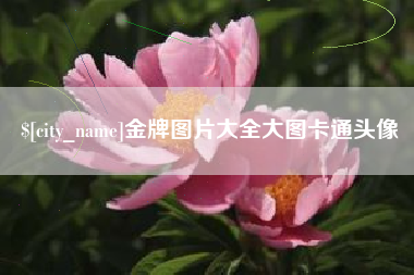 广西金牌图片大全大图卡通头像