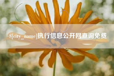 广西执行信息公开网查询免费