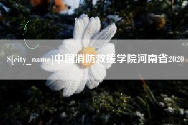 广西中国消防救援学院河南省2020